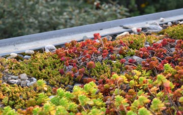 the cost of Bag Enderby green roof installation